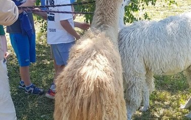 344782471_1334719430410943_3963652599627059293_n