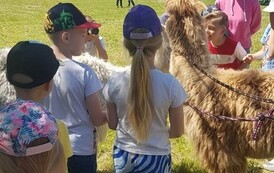 345415379_1245037676178630_8861932938987173936_n