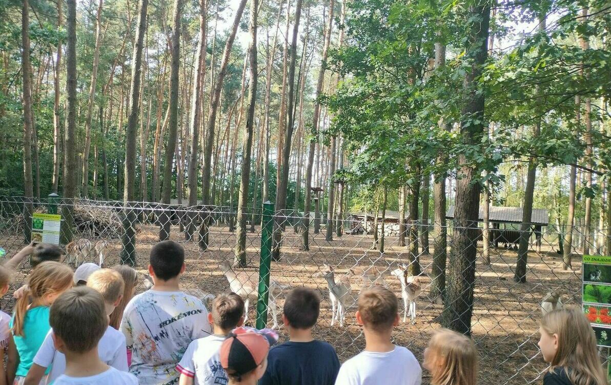 Zdjęcie do 3a, 3b - Gościniec